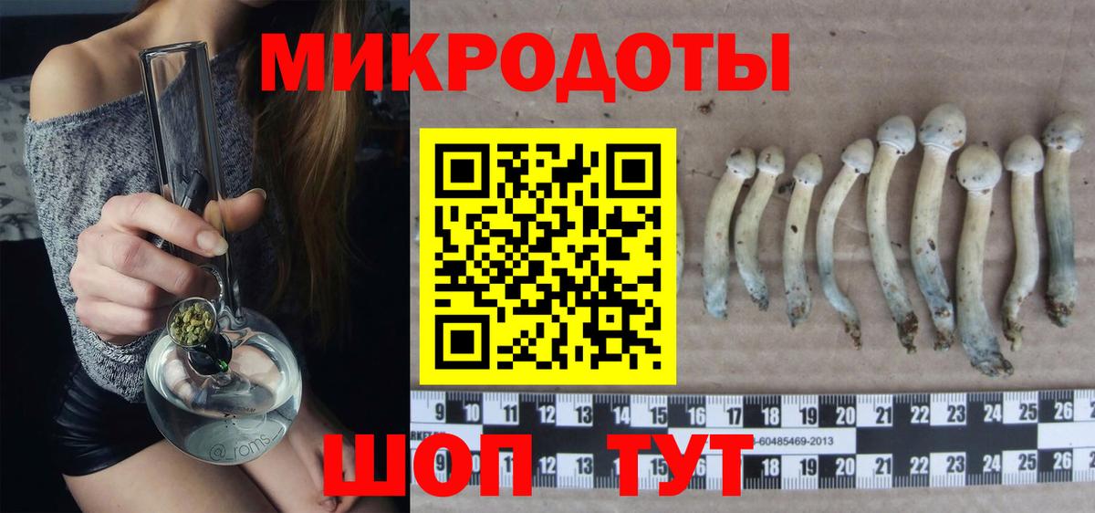 Псилоцибиновые грибы MAGIC MUSHROOMS Старая Русса