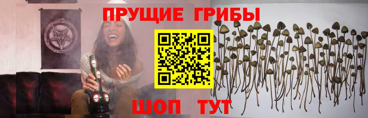 Псилоцибиновые грибы ЛСД  Псилоцибиновые грибы мицелий  Старая Русса  Вход с VPN 